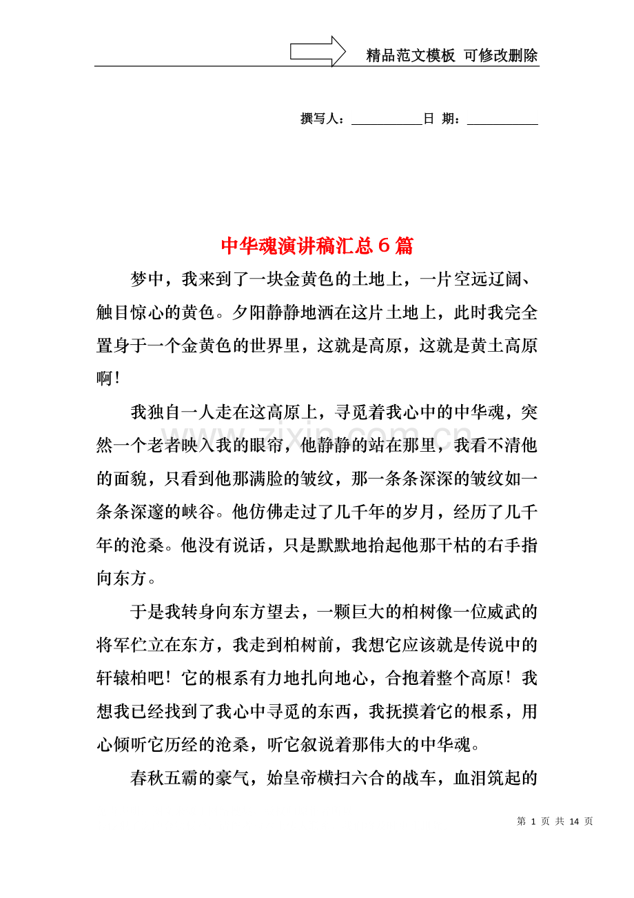 中华魂演讲稿汇总6篇2.docx_第1页