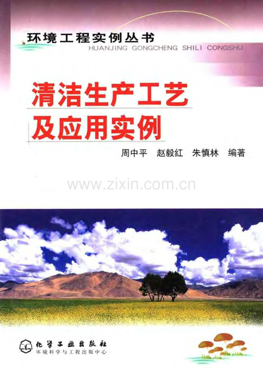 清洁生产工艺及应用实例-环境工程实例丛书.docx_第1页