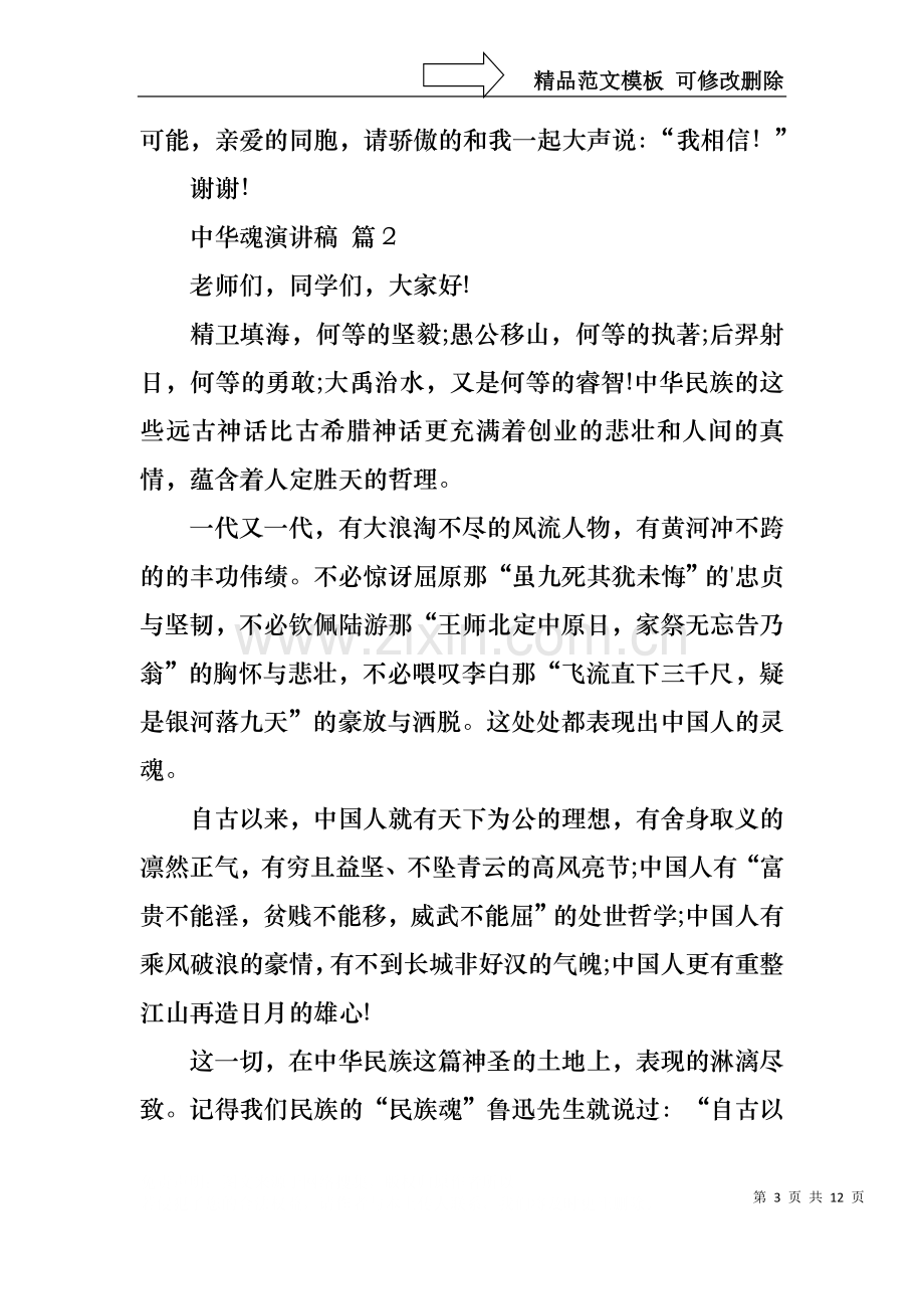 中华魂演讲稿范文集锦六篇.docx_第3页