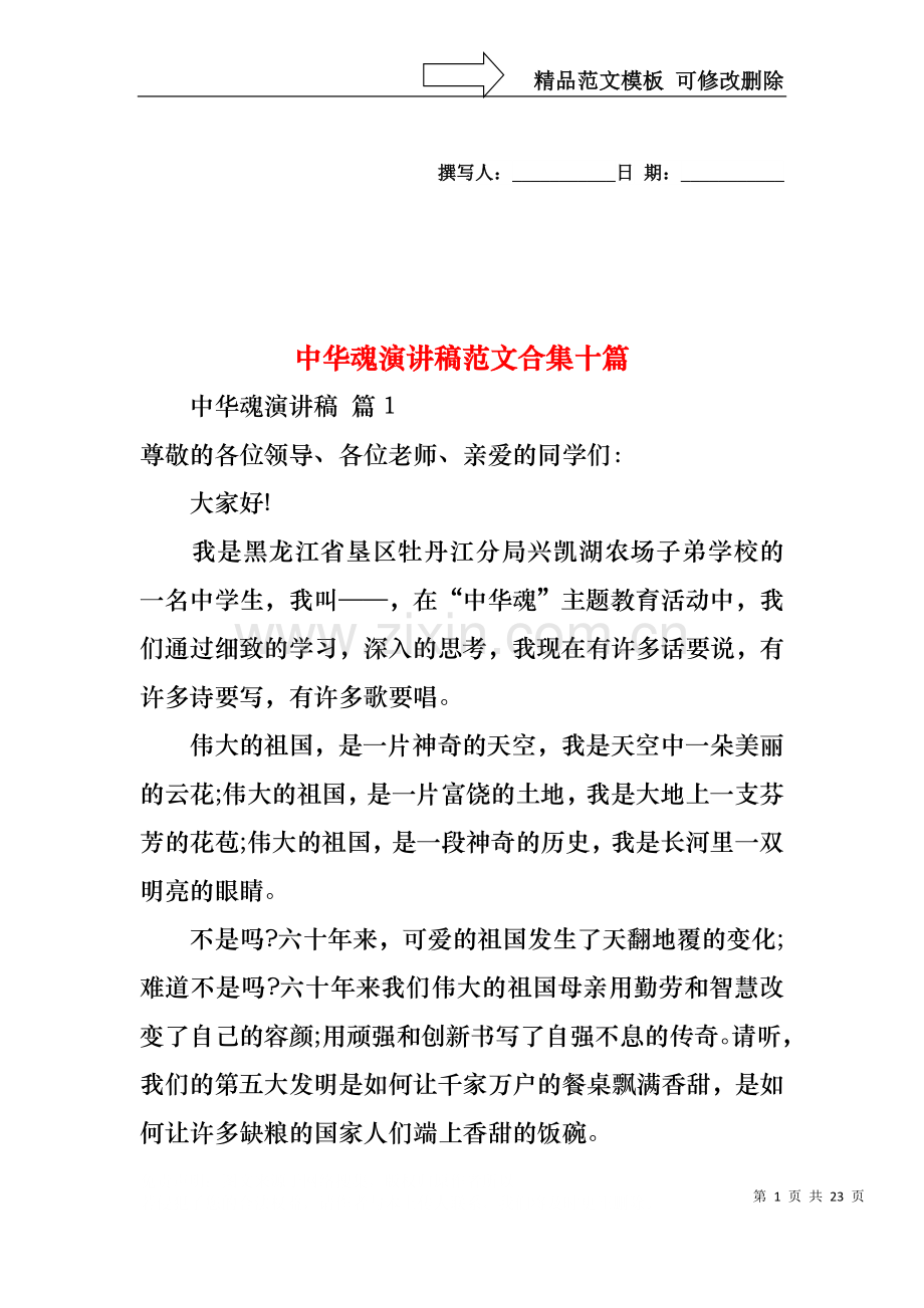 中华魂演讲稿范文合集十篇.docx_第1页