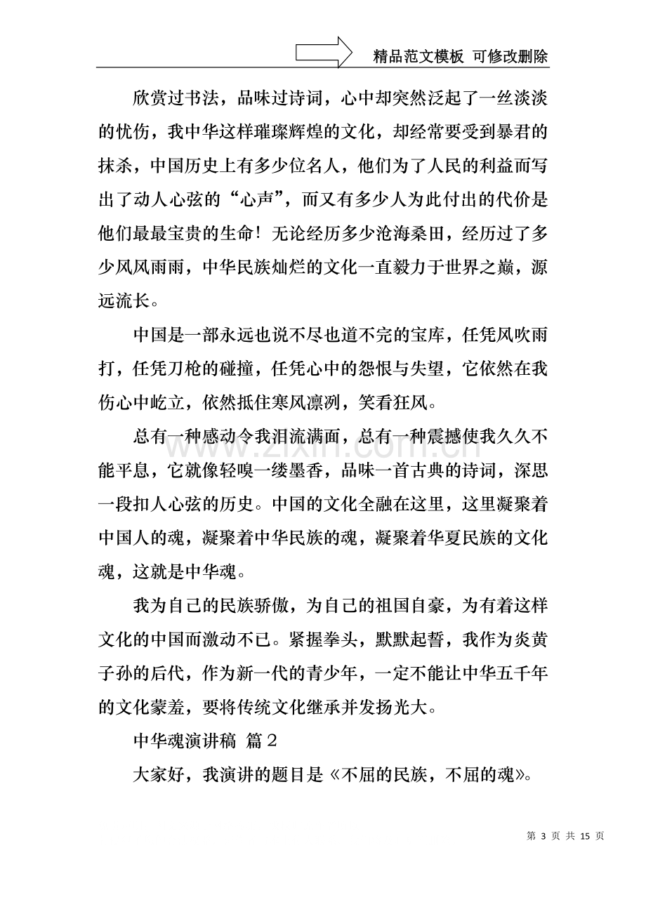 中华魂演讲稿锦集六篇.docx_第3页