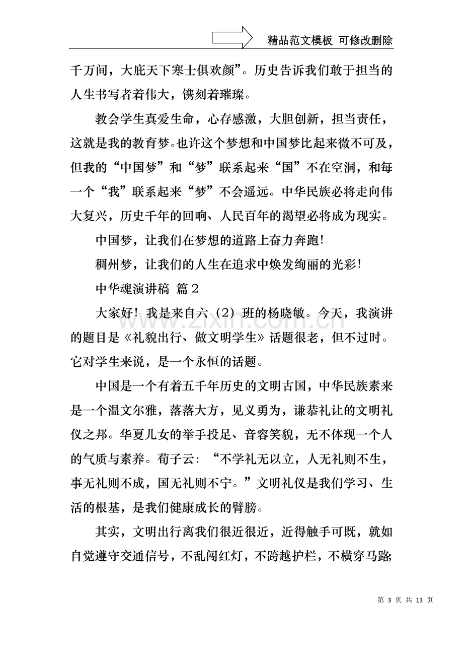 中华魂演讲稿范文汇总五篇.docx_第3页