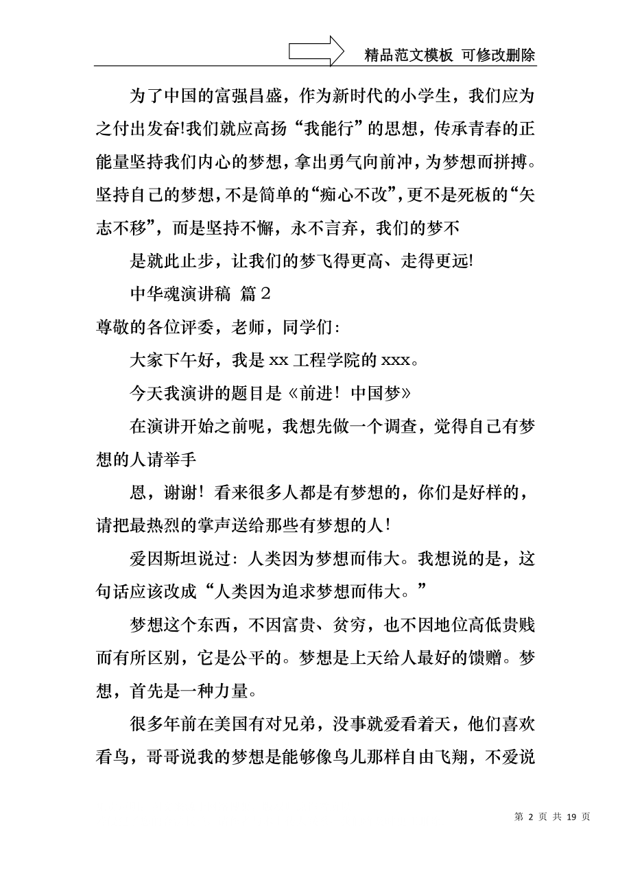 中华魂演讲稿范文锦集九篇.docx_第2页