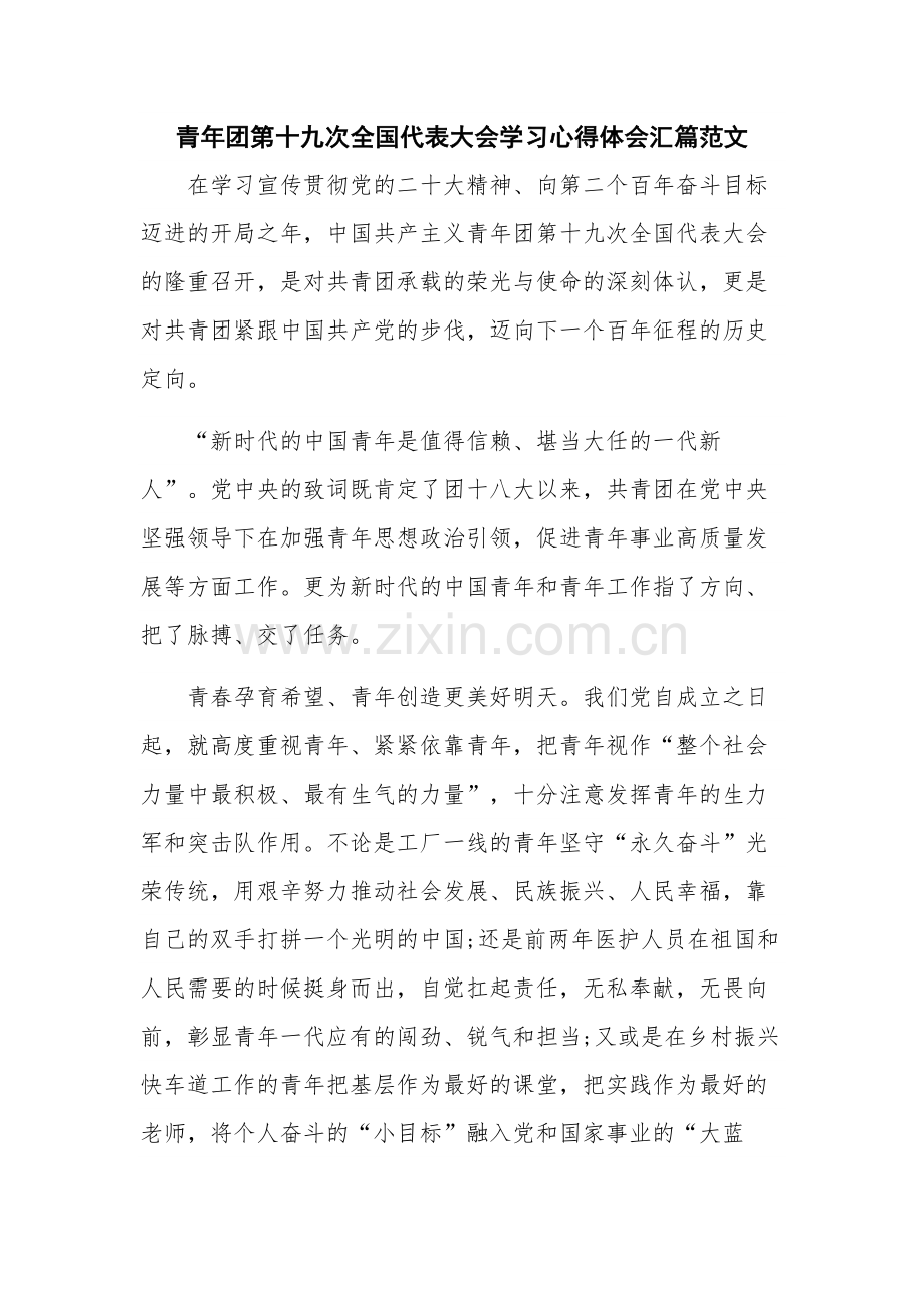 青年团第十九次全国代表大会学习心得体会汇篇范文.docx_第1页