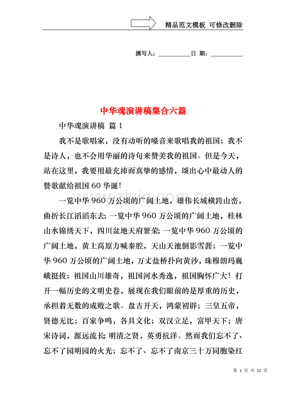 中华魂演讲稿集合六篇.docx_第1页