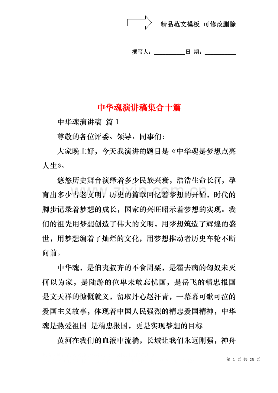 中华魂演讲稿集合十篇1.docx_第1页