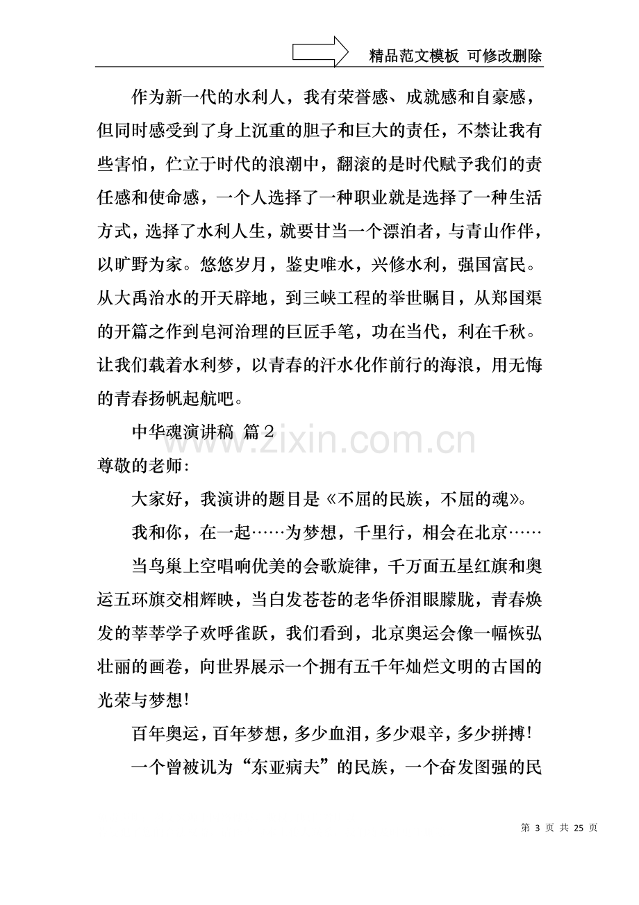 中华魂演讲稿集合十篇1.docx_第3页