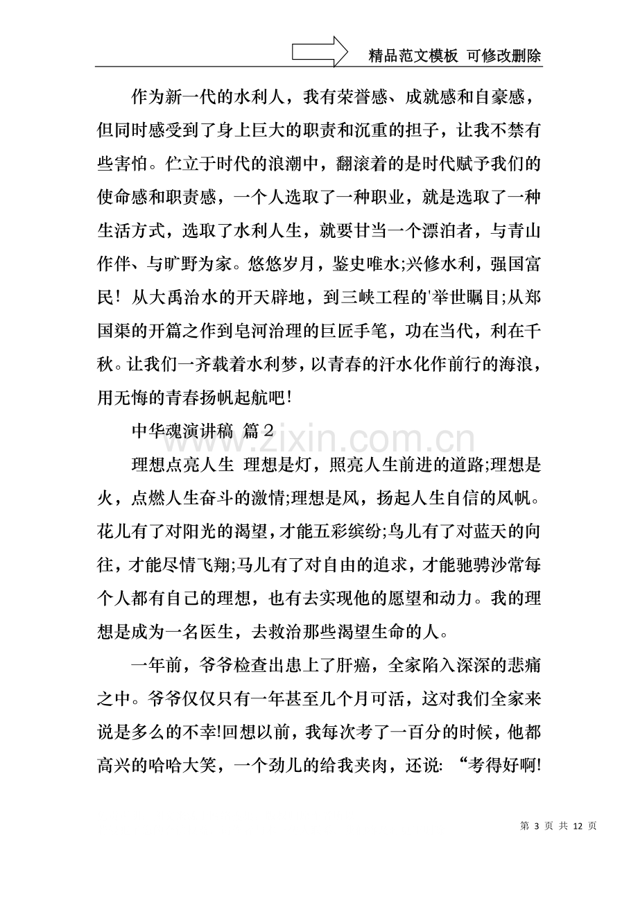 中华魂演讲稿模板锦集六篇.docx_第3页