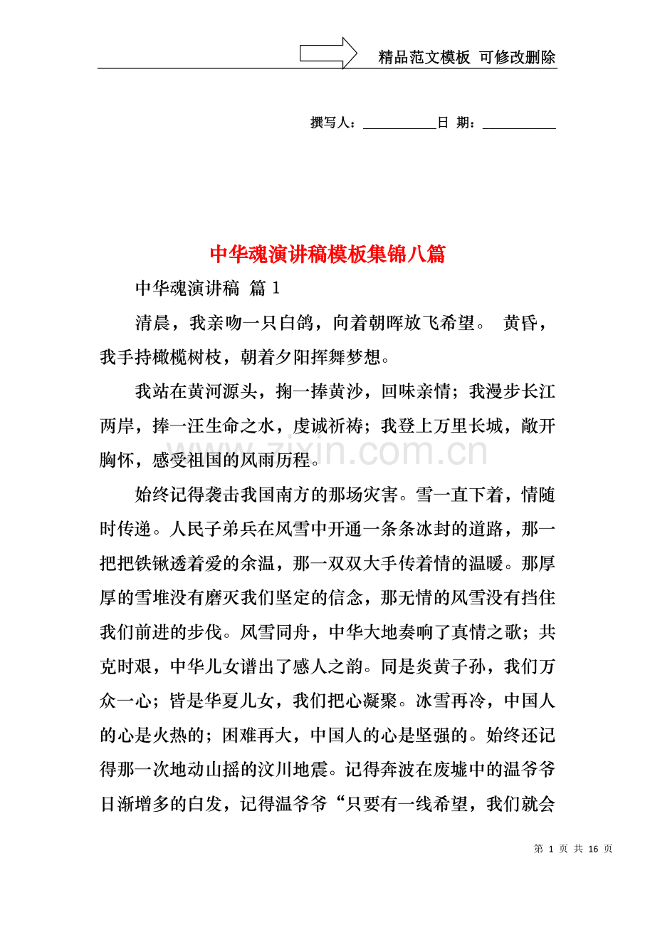 中华魂演讲稿模板集锦八篇.docx_第1页