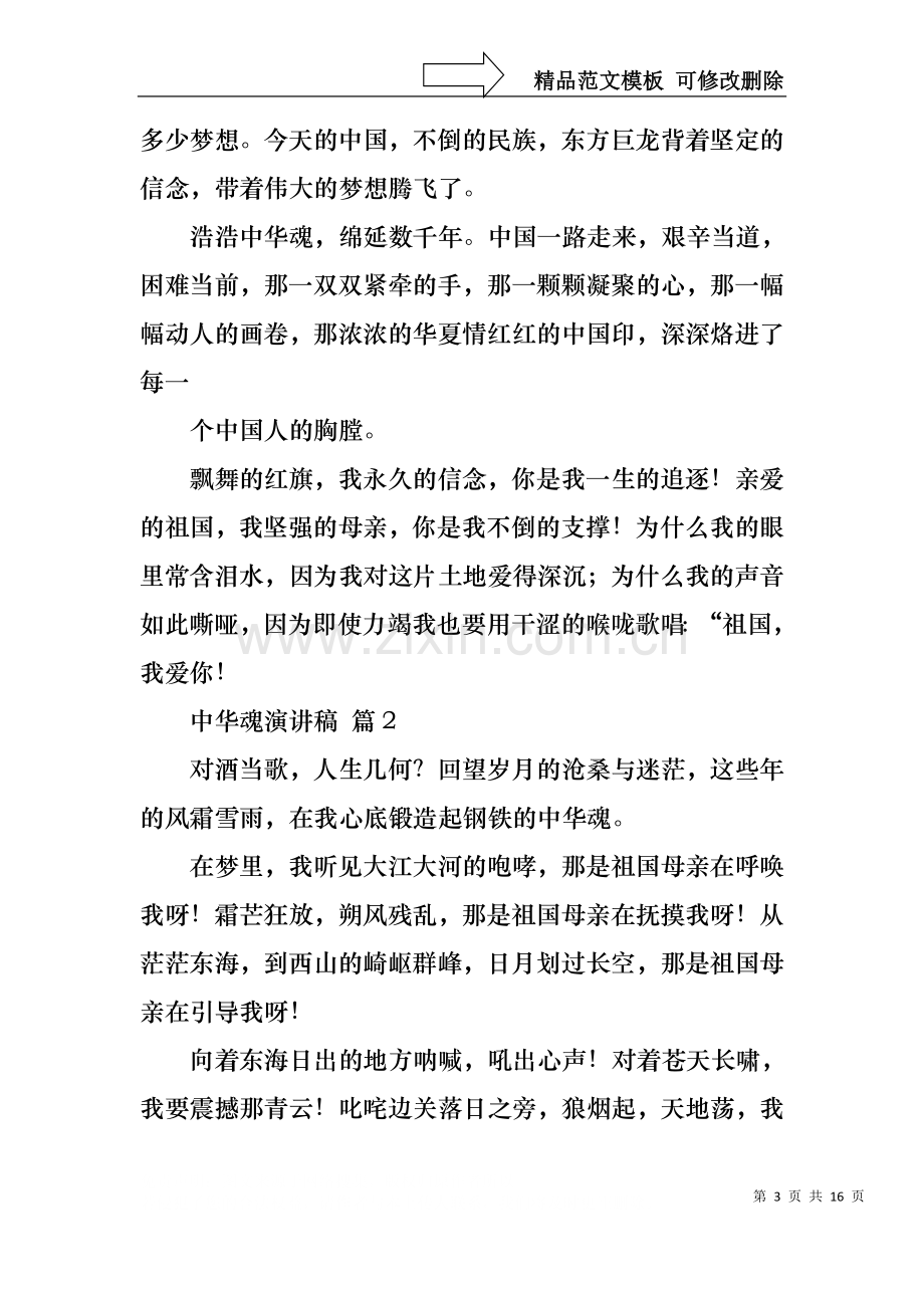 中华魂演讲稿模板集锦八篇.docx_第3页