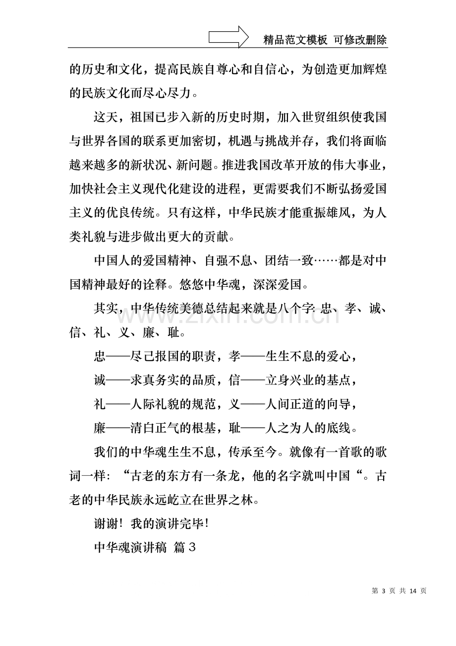 中华魂演讲稿模板七篇1.docx_第3页