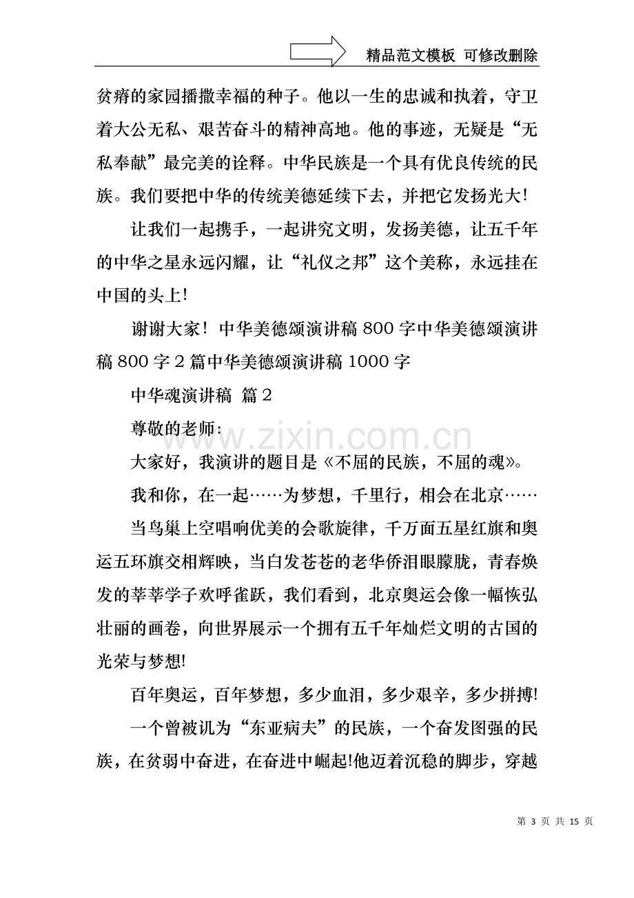 中华魂演讲稿锦集八篇.docx_第3页