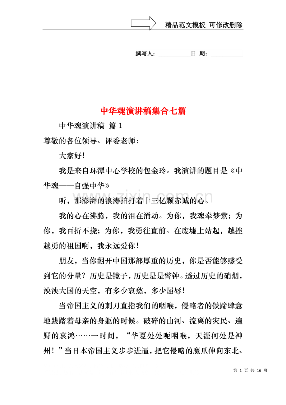 中华魂演讲稿集合七篇.docx_第1页