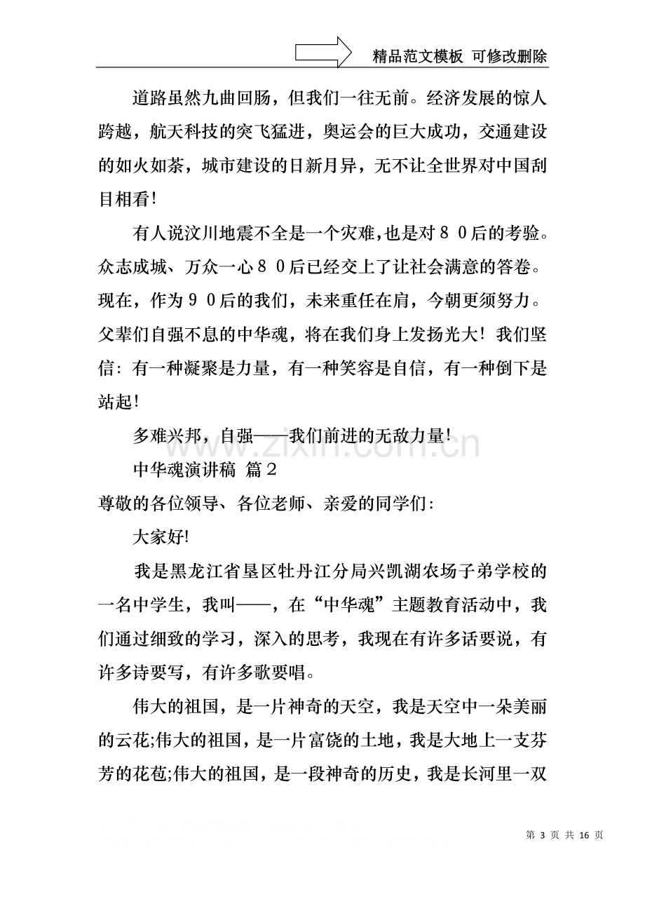 中华魂演讲稿集合七篇.docx_第3页