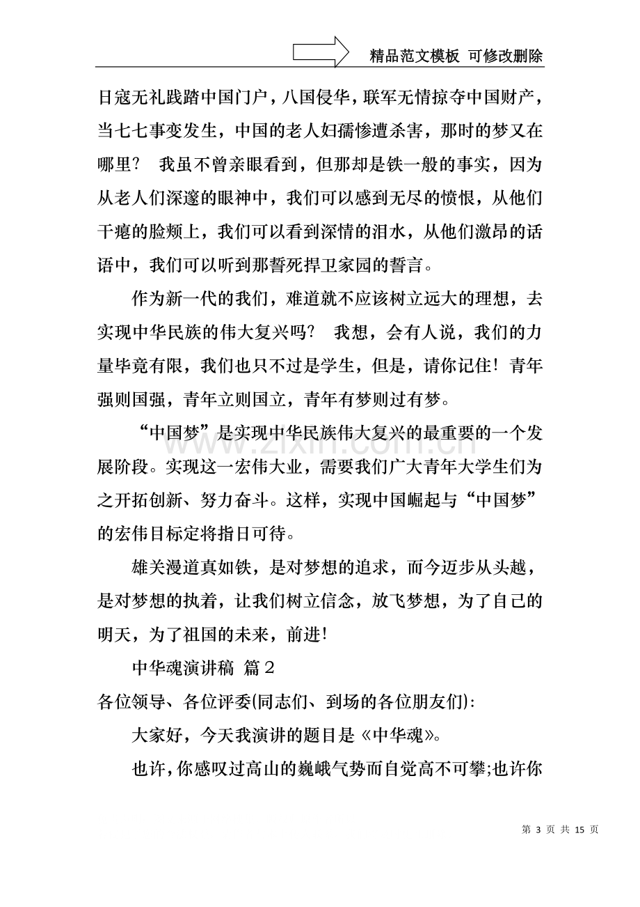 中华魂演讲稿模板集合七篇1.docx_第3页