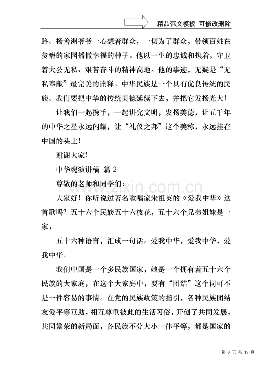 中华魂演讲稿模板合集九篇1.docx_第3页