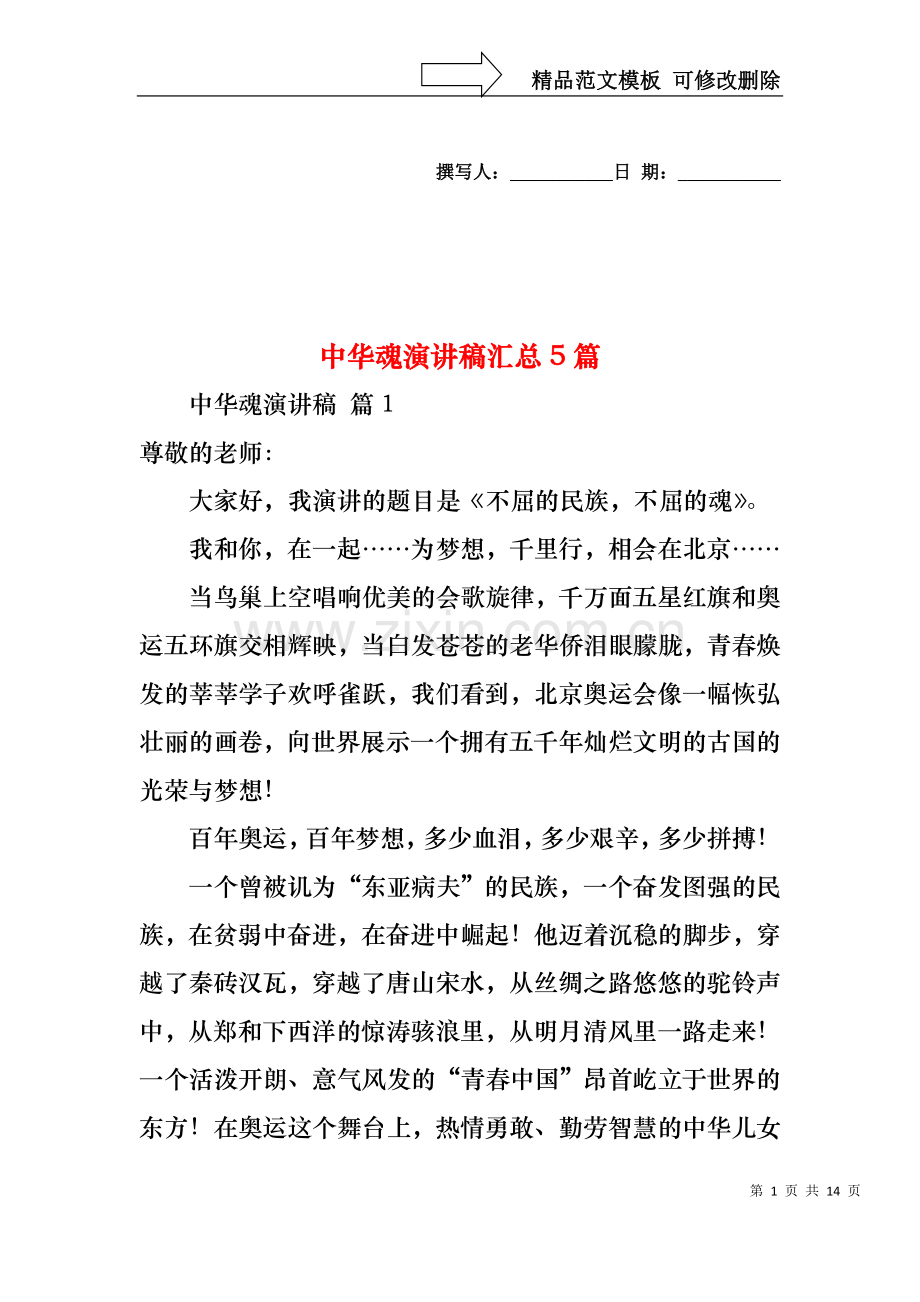 中华魂演讲稿汇总5篇.docx_第1页