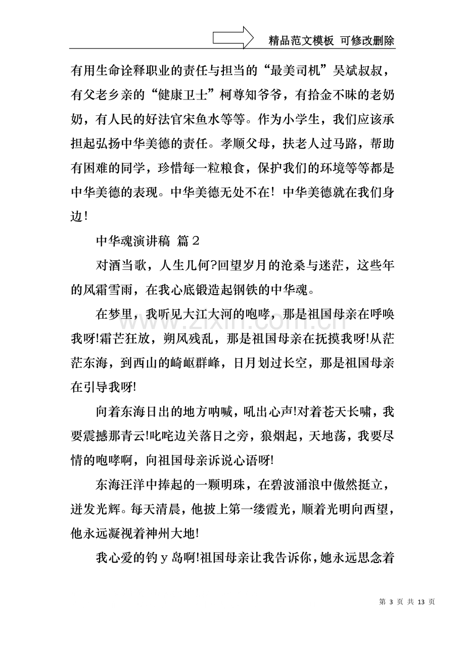 中华魂演讲稿合集六篇1.docx_第3页