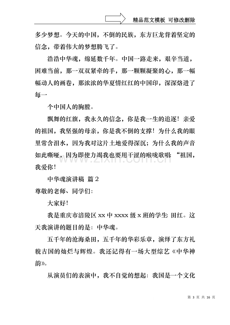 中华魂演讲稿汇总七篇2.docx_第3页