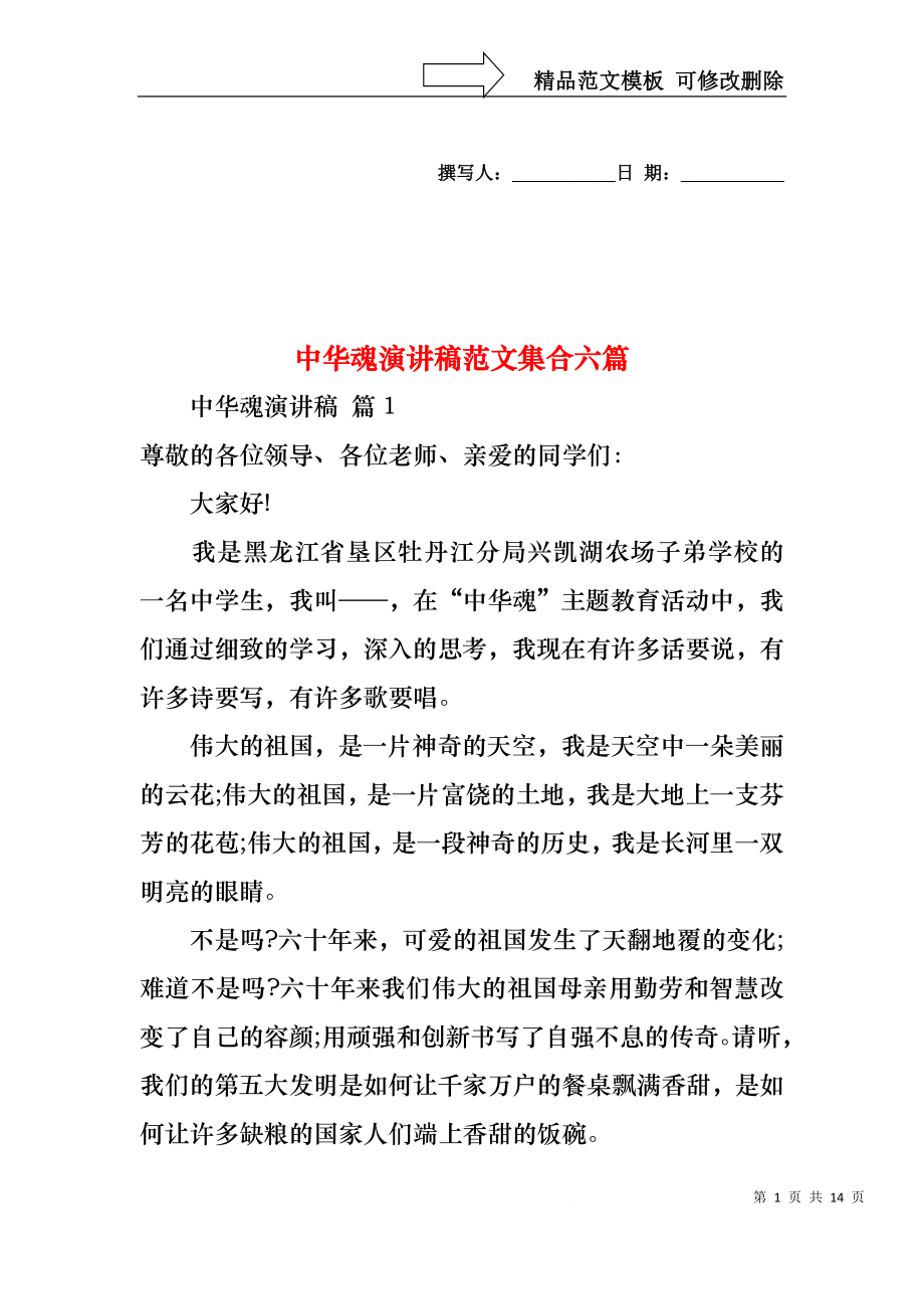 中华魂演讲稿范文集合六篇1.docx_第1页