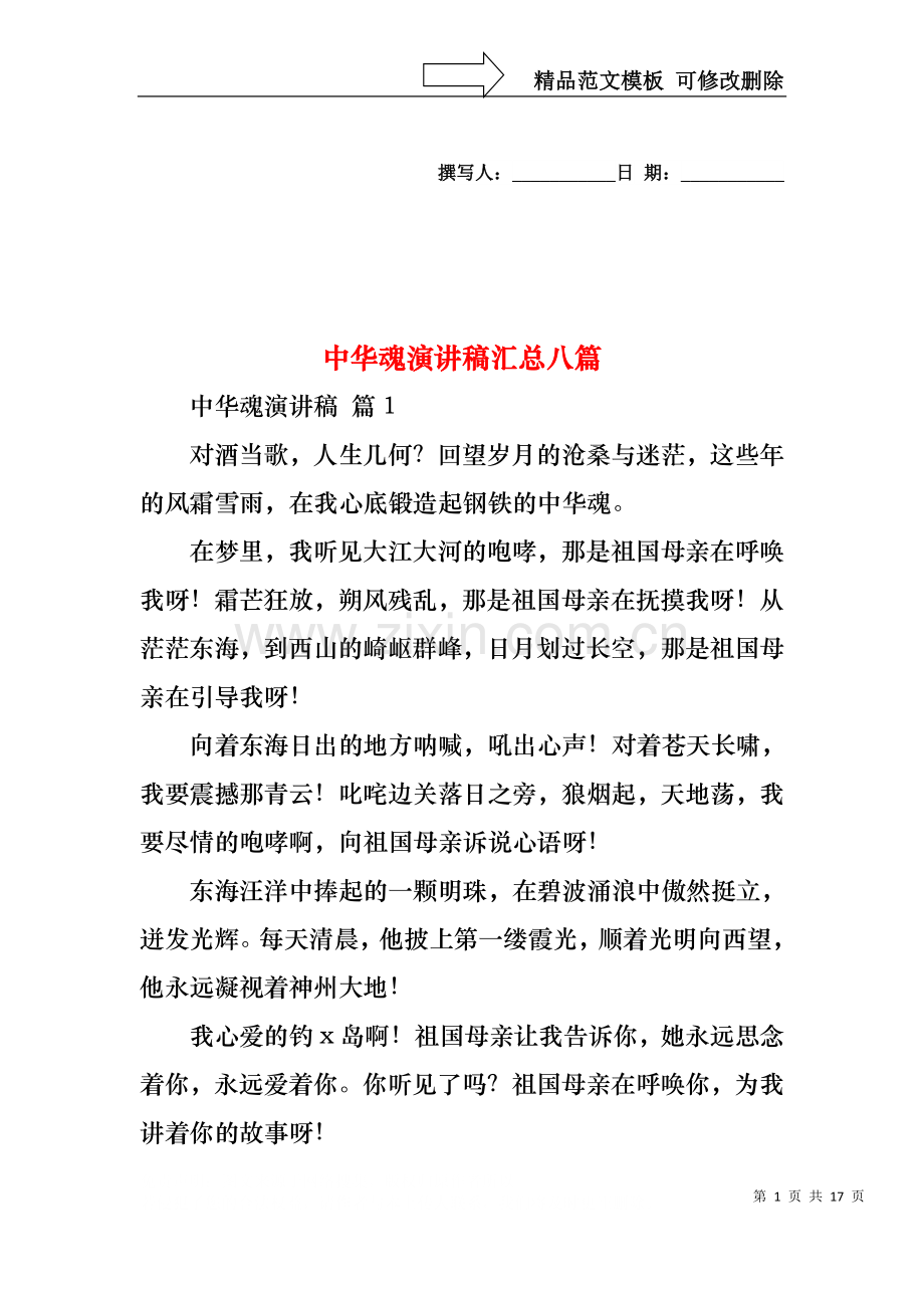 中华魂演讲稿汇总八篇1.docx_第1页