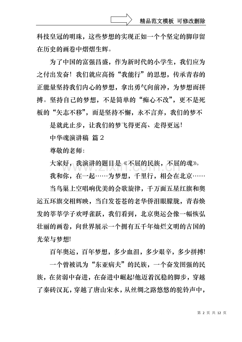 中华魂演讲稿集锦七篇1.docx_第2页