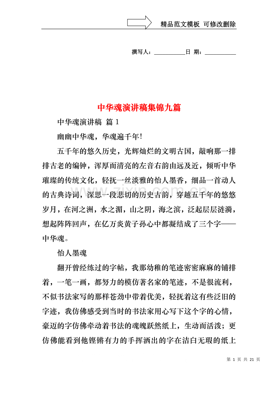 中华魂演讲稿集锦九篇.docx_第1页