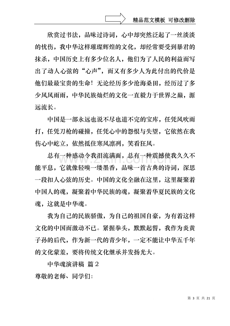 中华魂演讲稿集锦九篇.docx_第3页