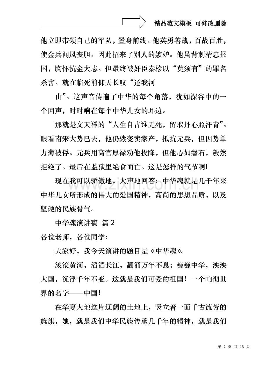 中华魂演讲稿范文汇编六篇.docx_第2页