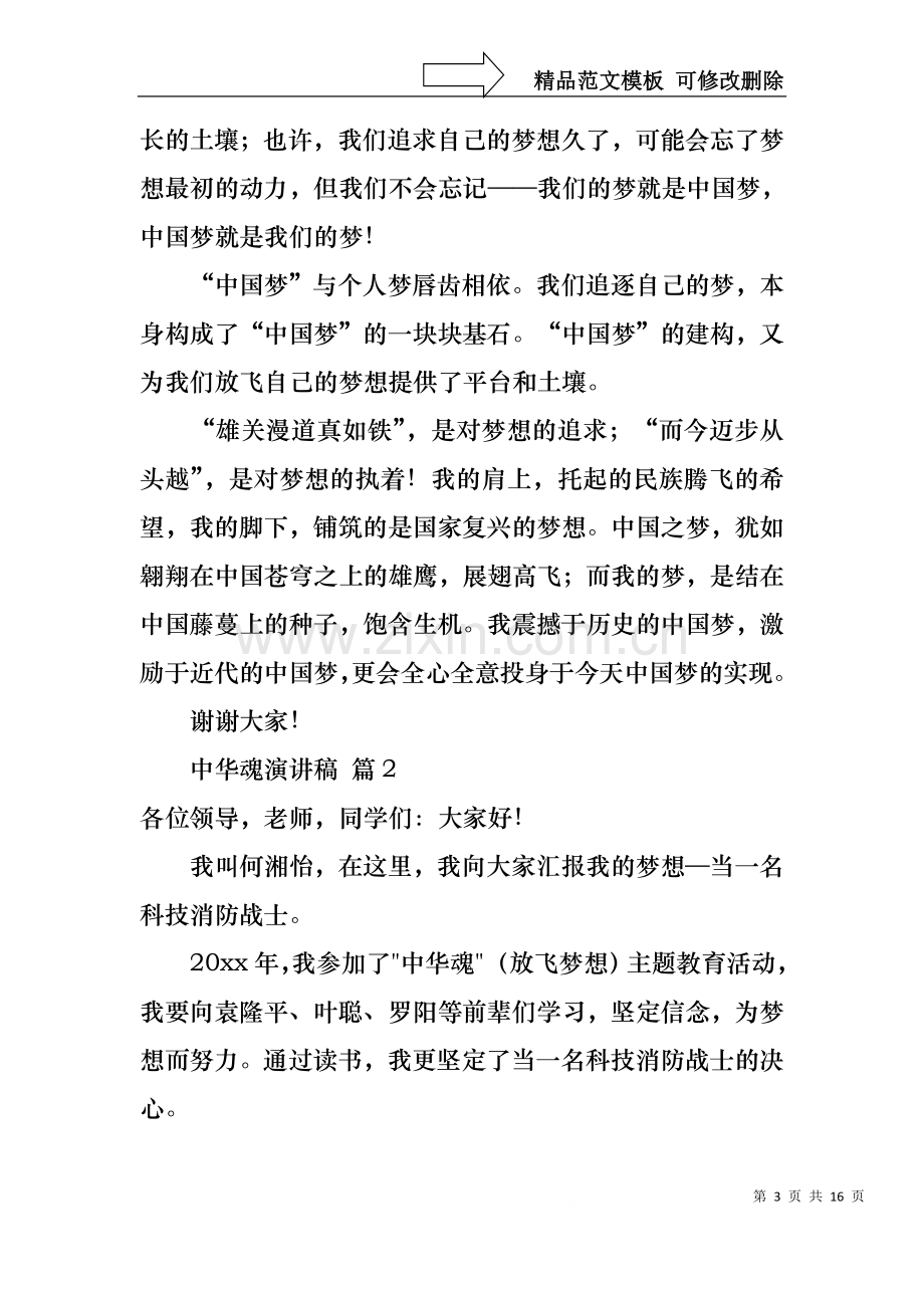 中华魂演讲稿锦集七篇1.docx_第3页