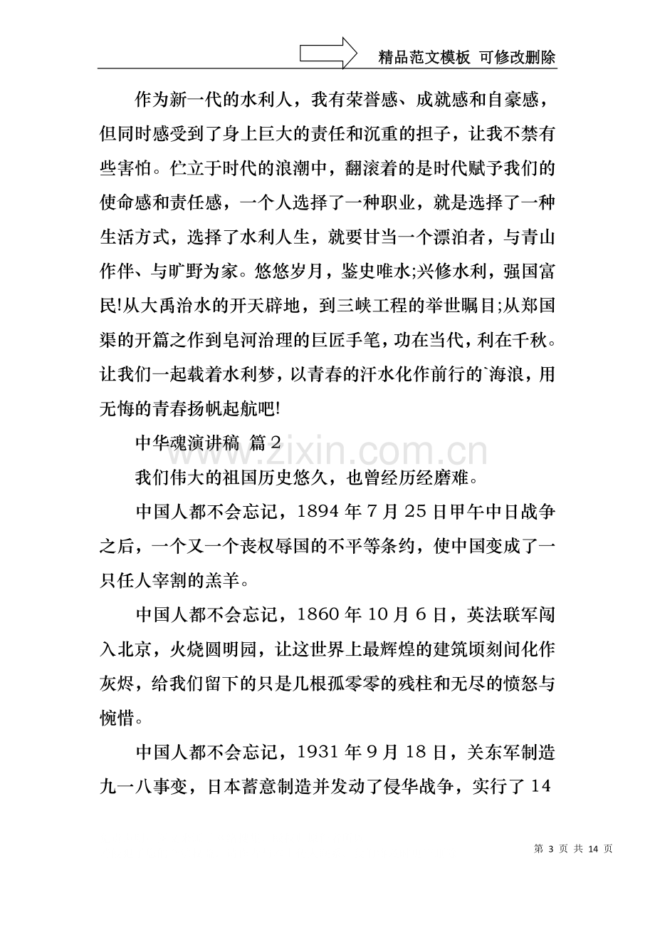 中华魂演讲稿集合六篇2.docx_第3页