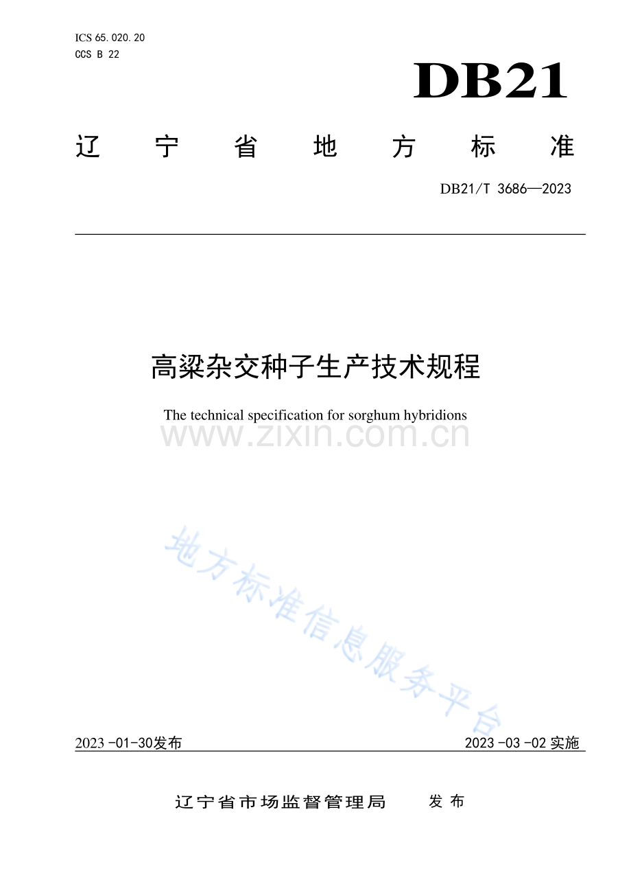 DB21_T3686-2023高粱杂交种子生产技术规程.pdf_第1页