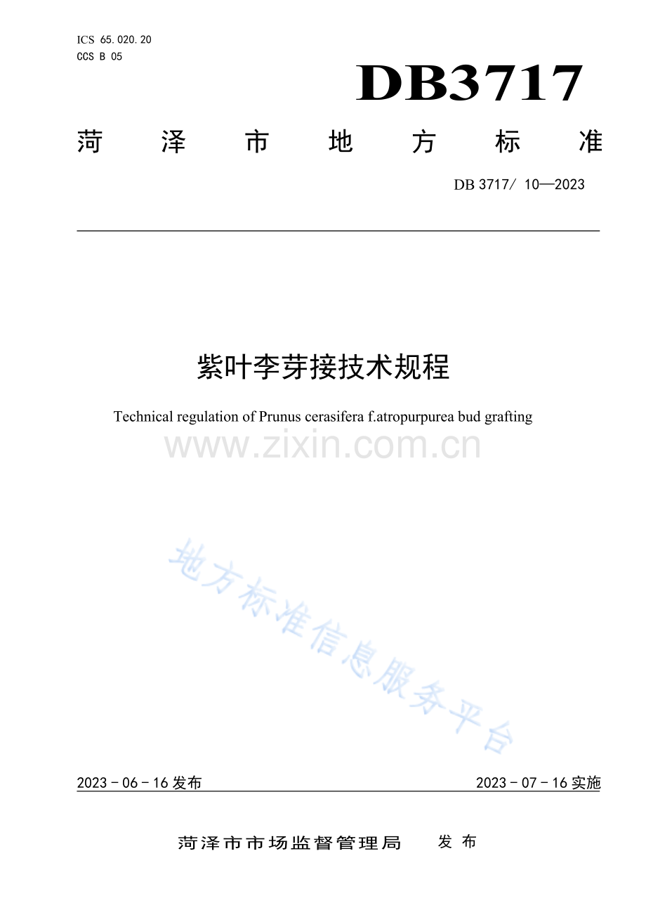 紫叶李芽接技术规程 DB3717_T 10-2023.pdf_第1页