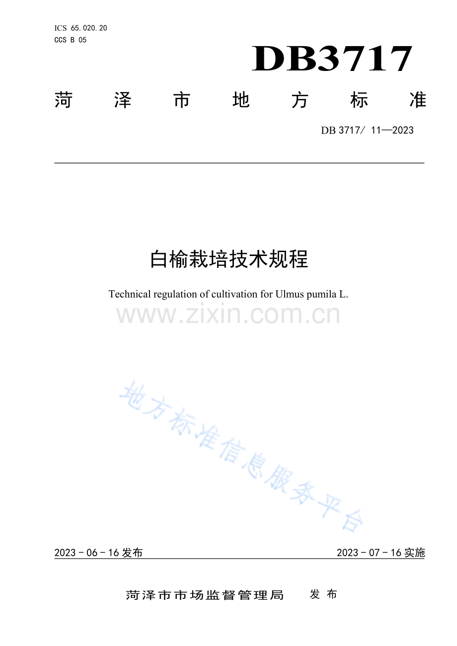 白榆栽培技术规程 DB3717_T+11-2023.pdf_第1页