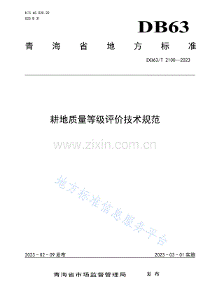 DB63_T 2100-2023耕地质量评价技术规范.pdf