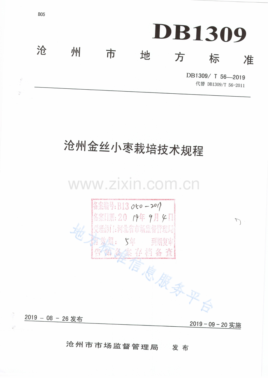 DB1309_T 56-2019《+沧州金丝小枣栽培技术规程》.pdf_第1页