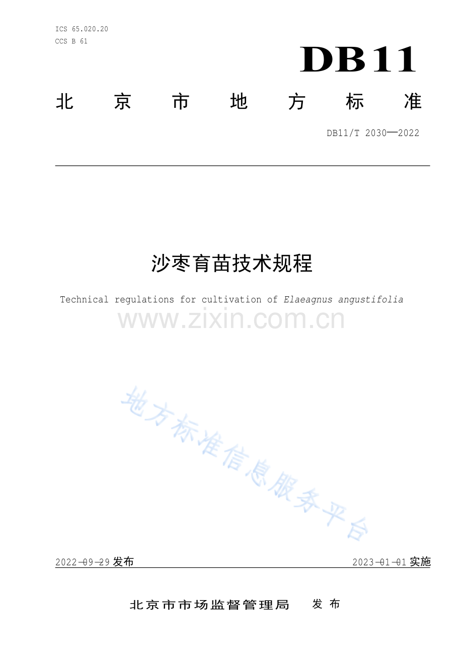 DB11-T 2030-2022沙枣育苗技术规程.pdf_第1页