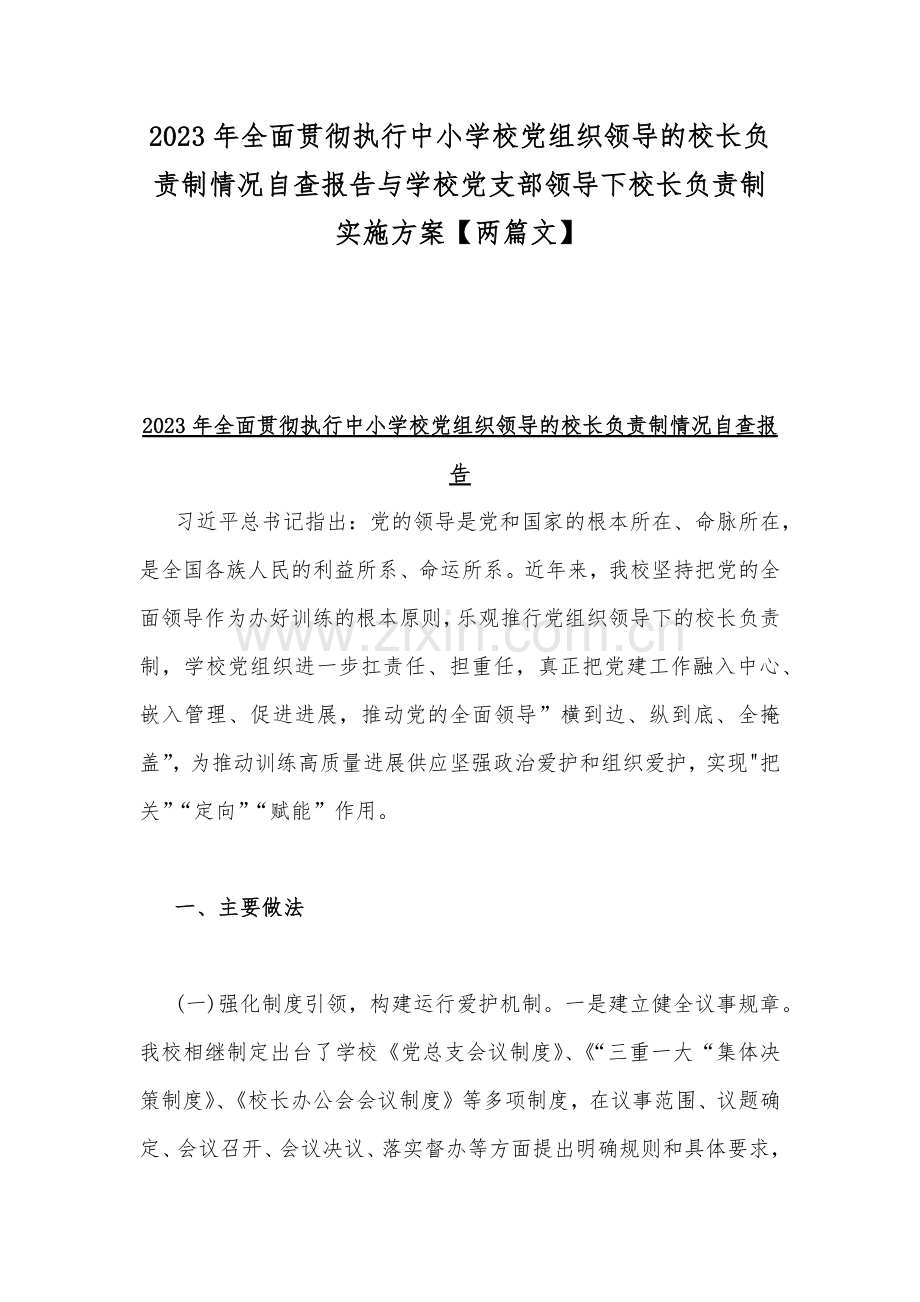 2023年全面贯彻执行中小学校党组织领导的校长负责制情况自查报告与学校党支部领导下校长负责制实施方案【两篇文】.docx_第1页