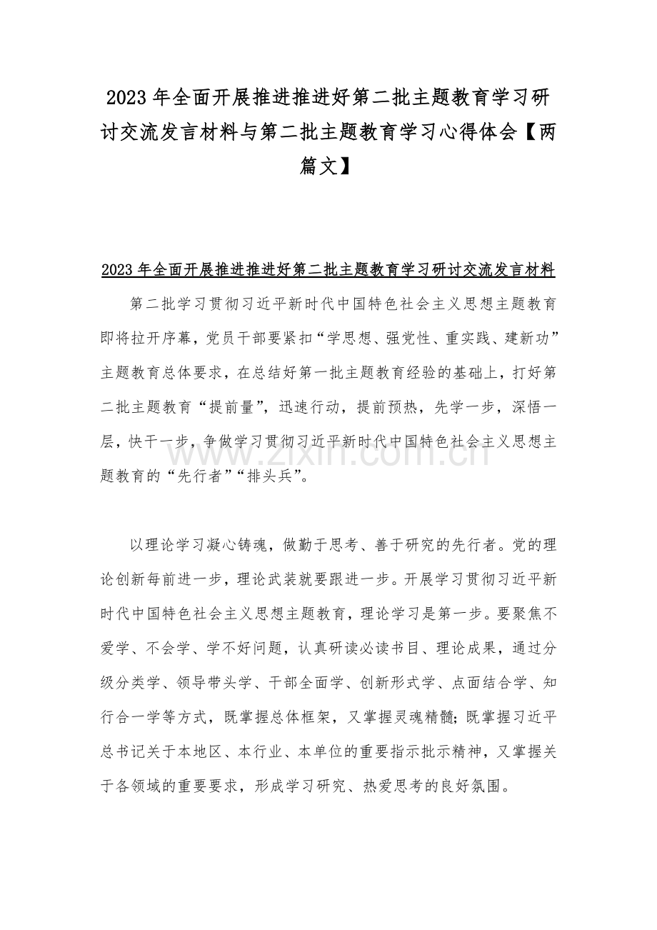 2023年全面开展推进推进好第二批主题教育学习研讨交流发言材料与第二批主题教育学习心得体会【两篇文】.docx_第1页