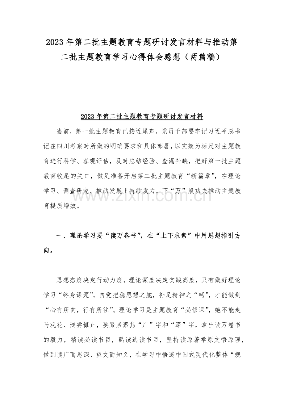 2023年第二批主题教育专题研讨发言材料与推动第二批主题教育学习心得体会感想（两篇稿）.docx_第1页