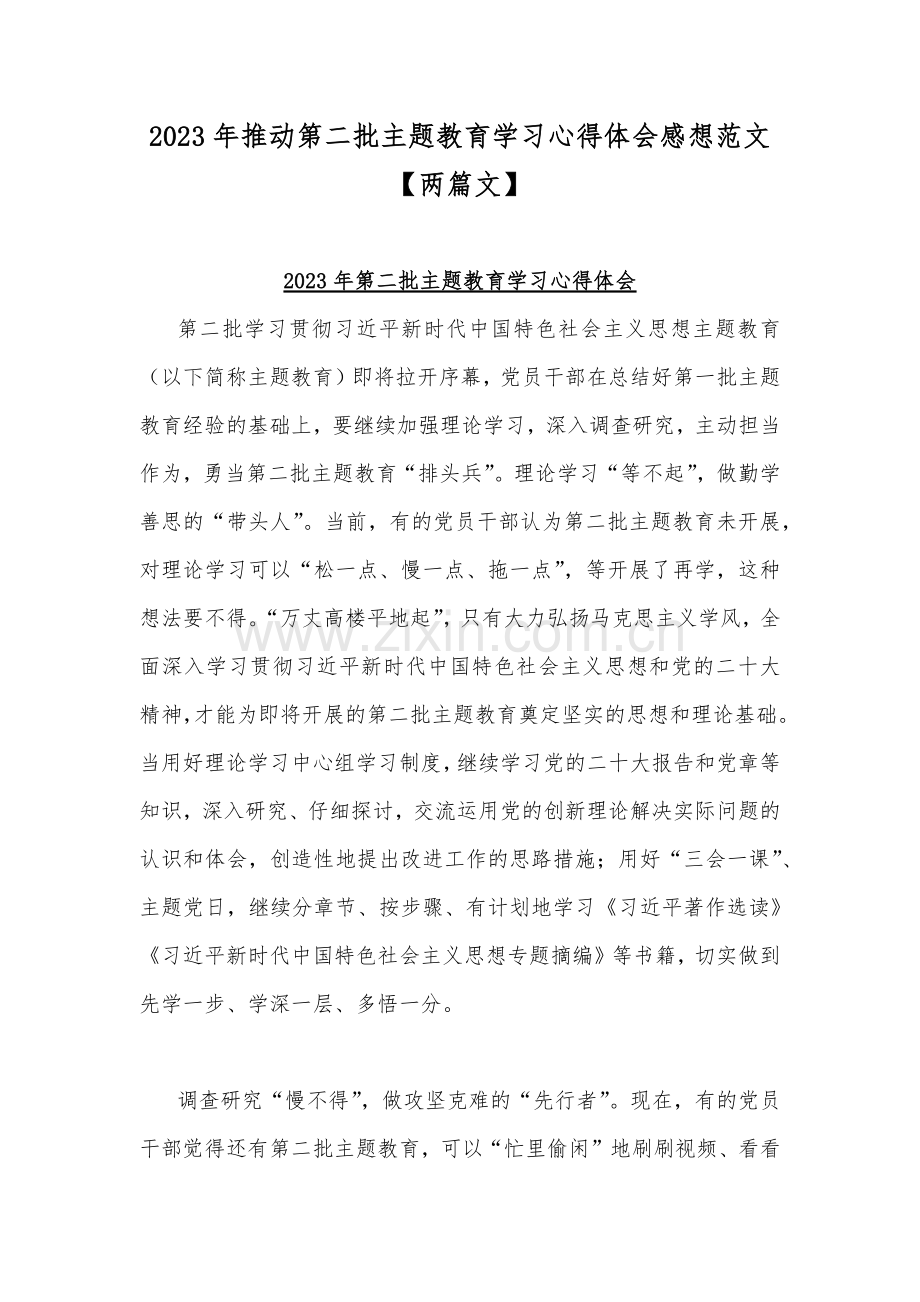 2023年推动第二批主题教育学习心得体会感想范文【两篇文】.docx_第1页