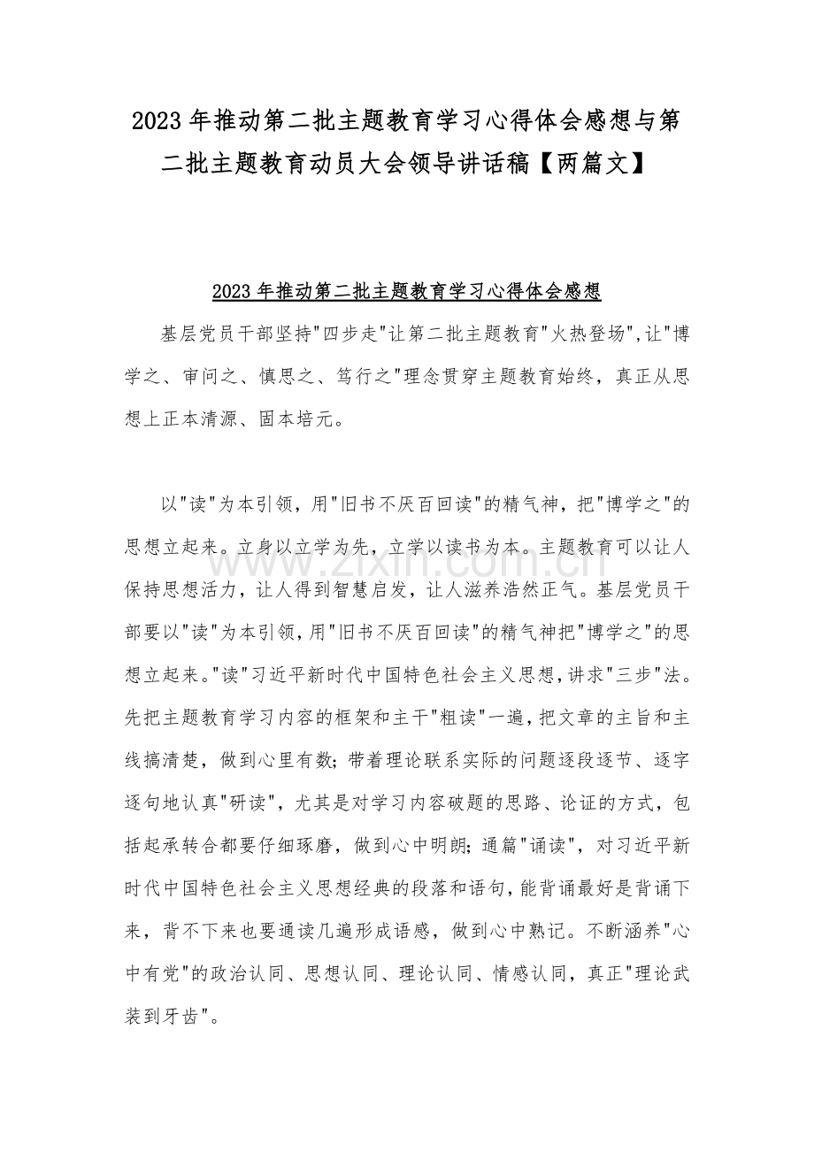 2023年推动第二批主题教育学习心得体会感想与第二批主题教育动员大会领导讲话稿【两篇文】.docx_第1页