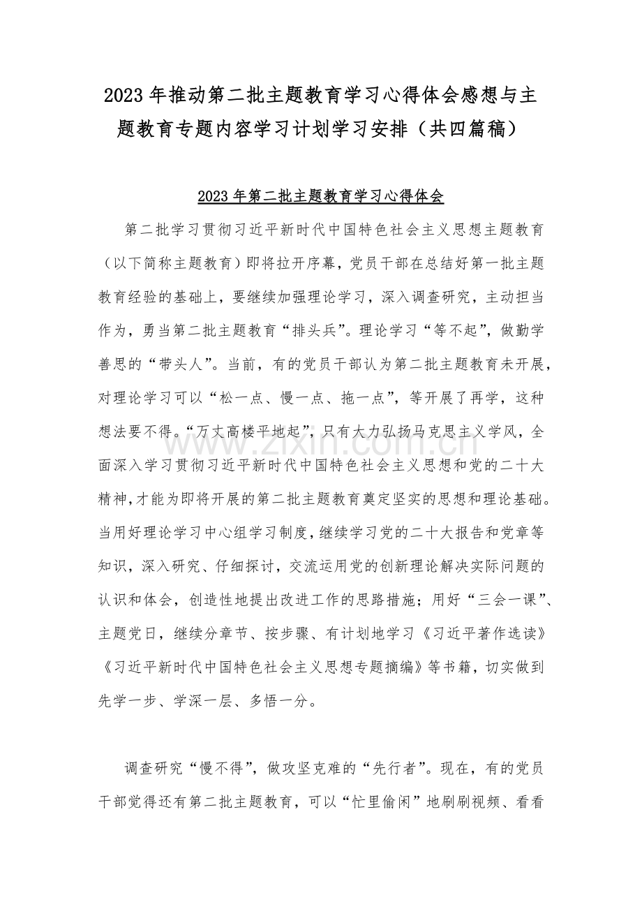 2023年推动第二批主题教育学习心得体会感想与主题教育专题内容学习计划学习安排（共四篇稿）.docx_第1页