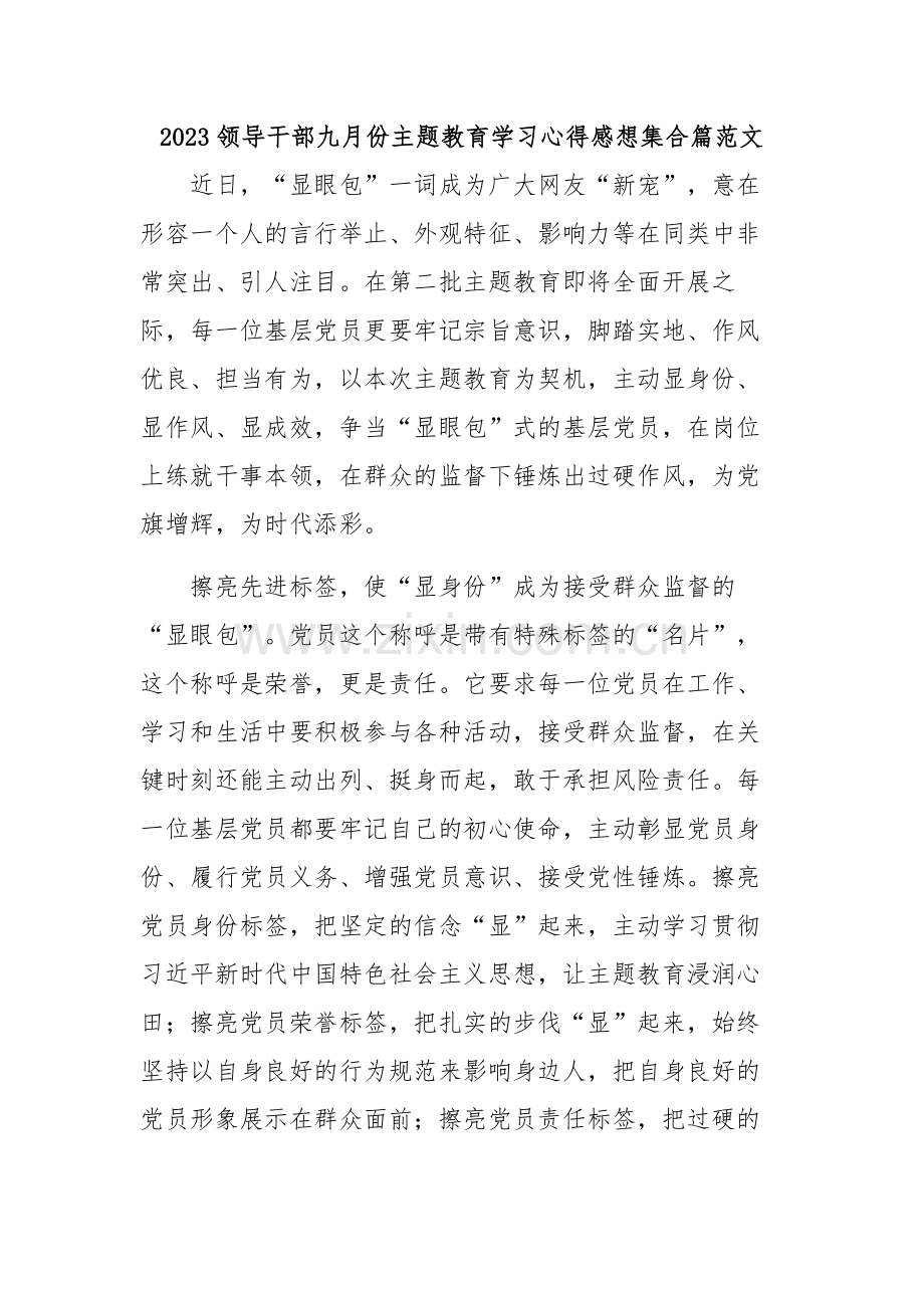 2023领导干部九月份主题教育学习心得感想集合篇范文.docx_第1页