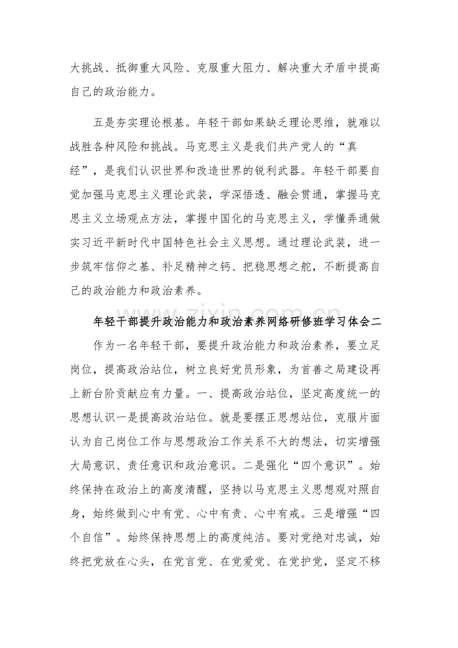 年轻干部提升政治能力和政治素养网络研修班5篇学习体会.docx_第3页