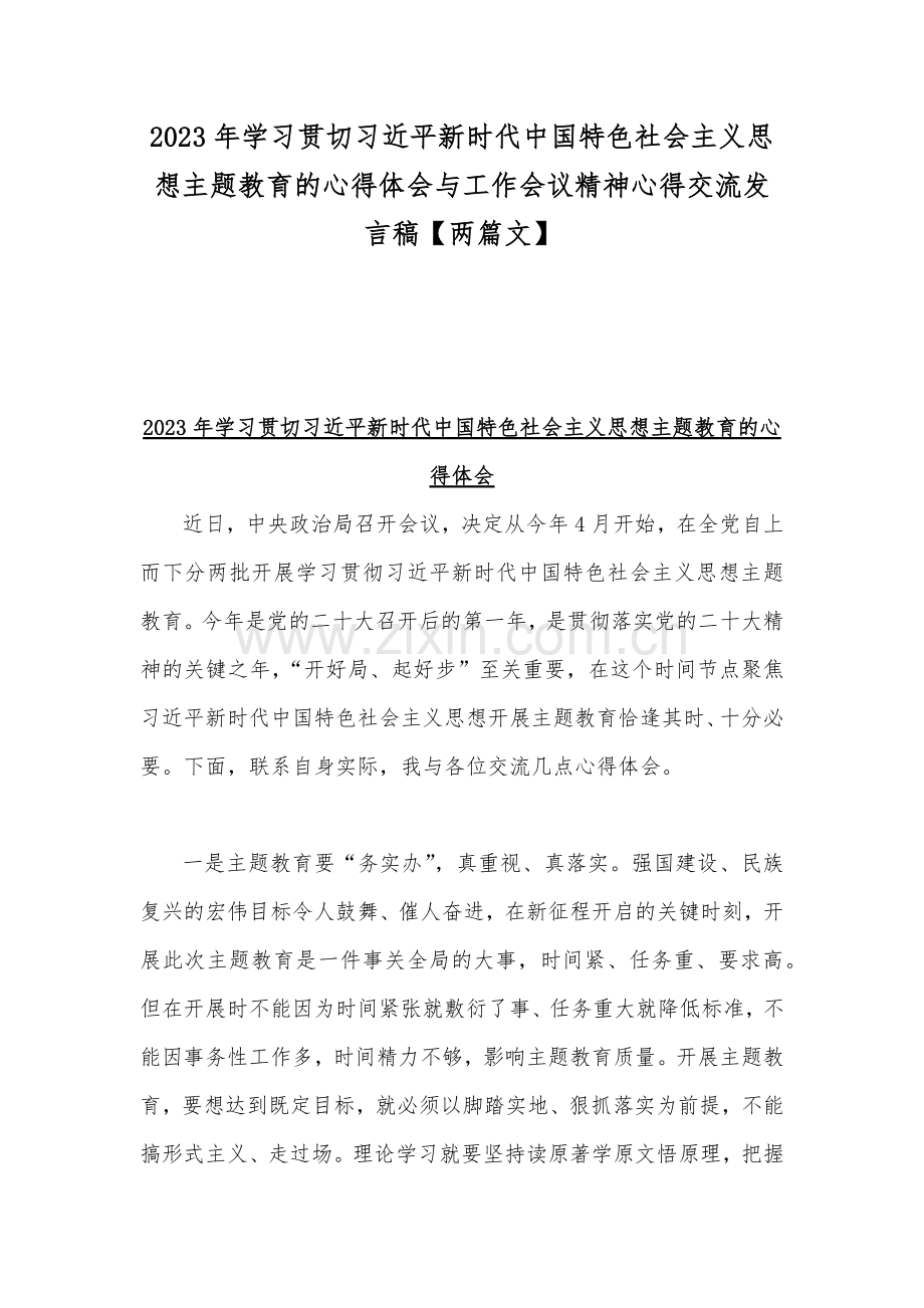 2023年学习贯切习近平新时代中国特色社会主义思想主题教育的心得体会与工作会议精神心得交流发言稿【两篇文】.docx_第1页