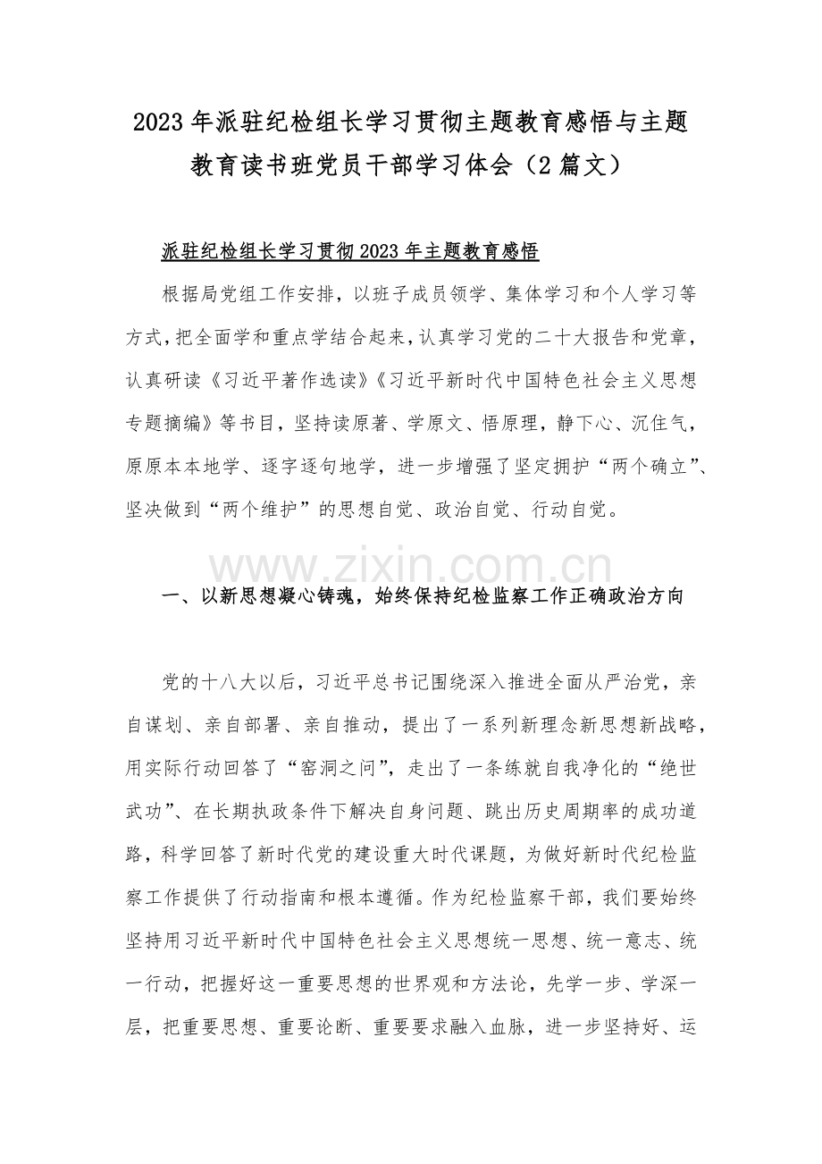 2023年派驻纪检组长学习贯彻主题教育感悟与主题教育读书班党员干部学习体会（2篇文）.docx_第1页