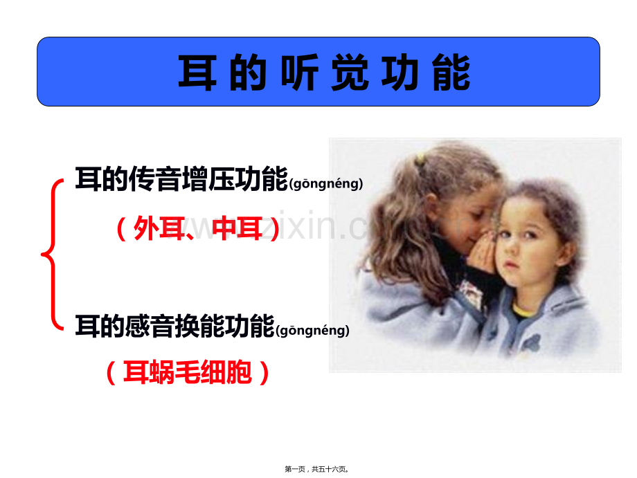 耳的听觉功能.ppt_第1页