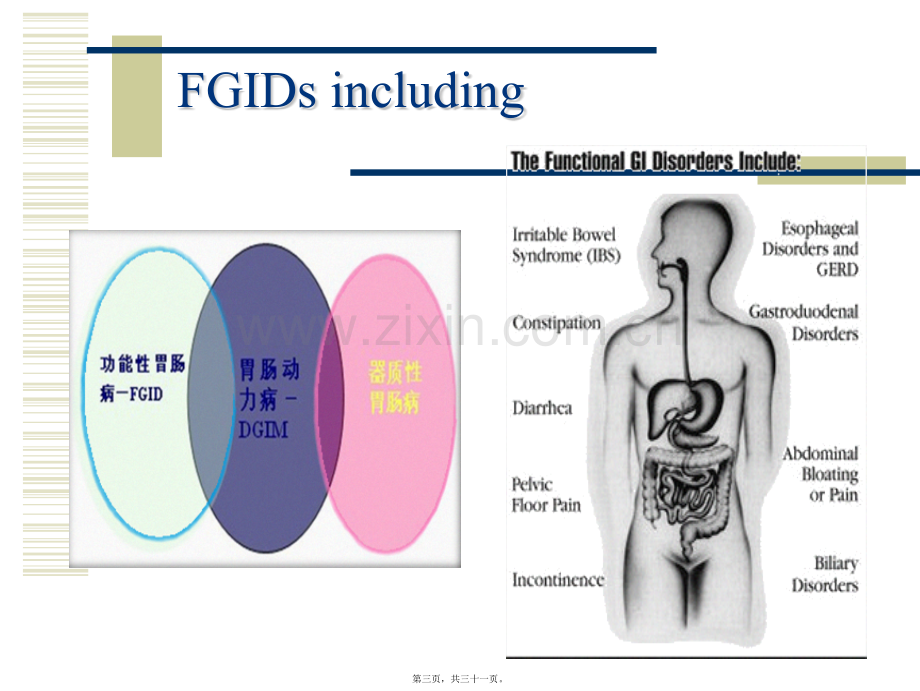 IBS诊治新观念.ppt_第3页