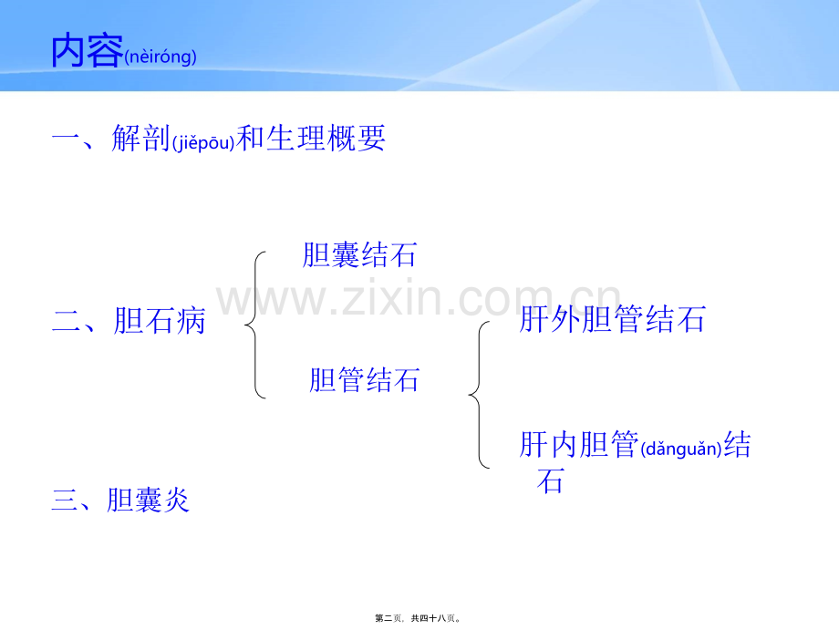 胆囊炎、胆石症.ppt_第2页